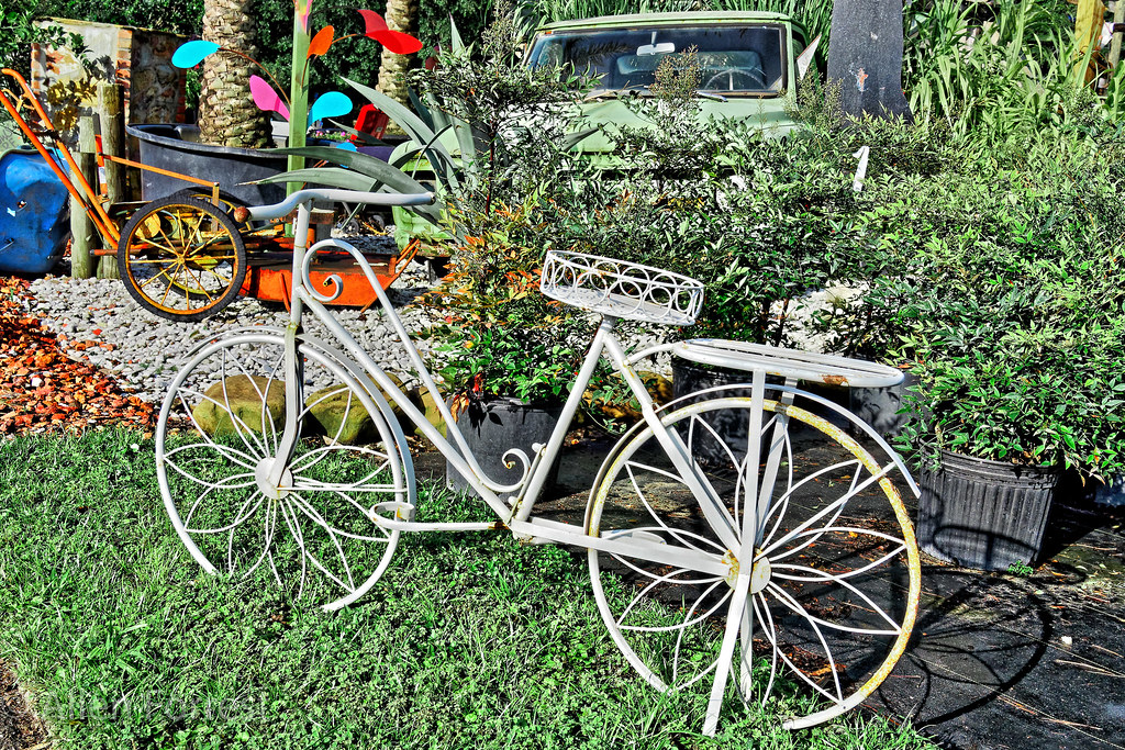 White Bike The Green House Nursery, Jonesville, Florida Allen