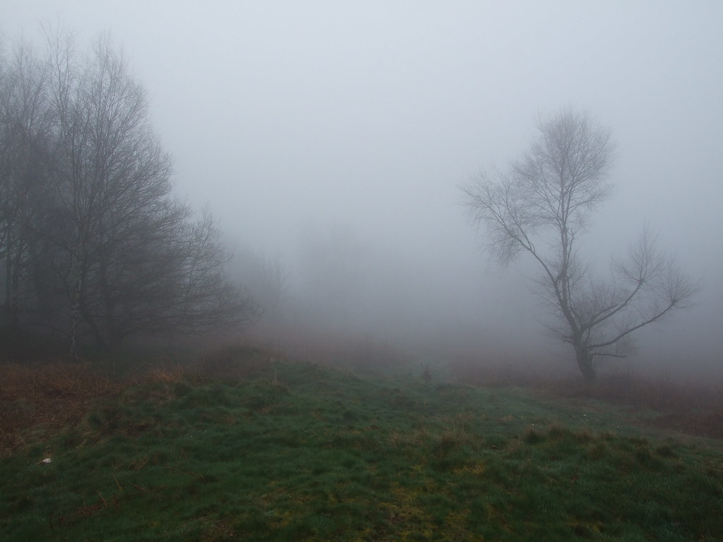 Fog/Wood Etching Hill Rugeley Brian Flickr