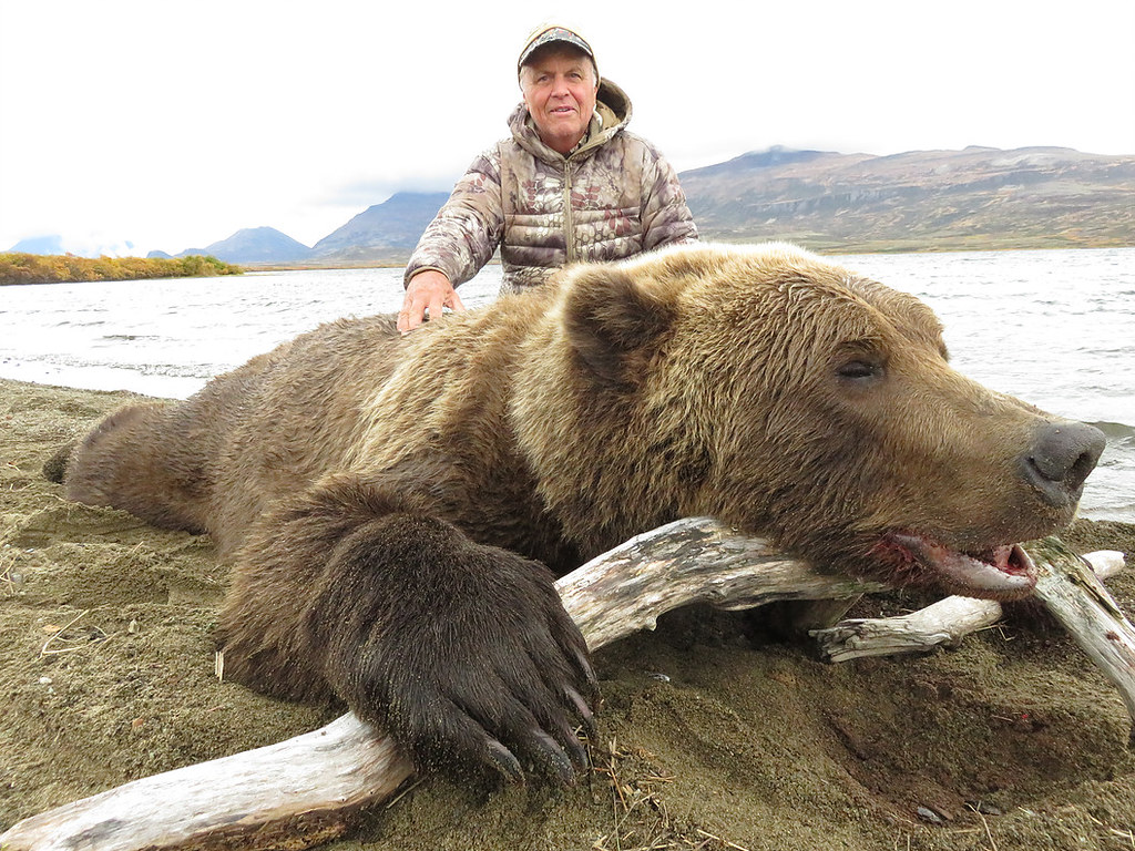 Alaska Peninsula Brown Bear Hunt Family Expeditions