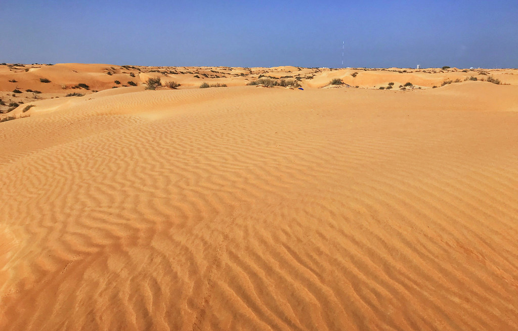 Sand kingdom Царство песка مملكة الرمال Reino de arena Irina Yaneya