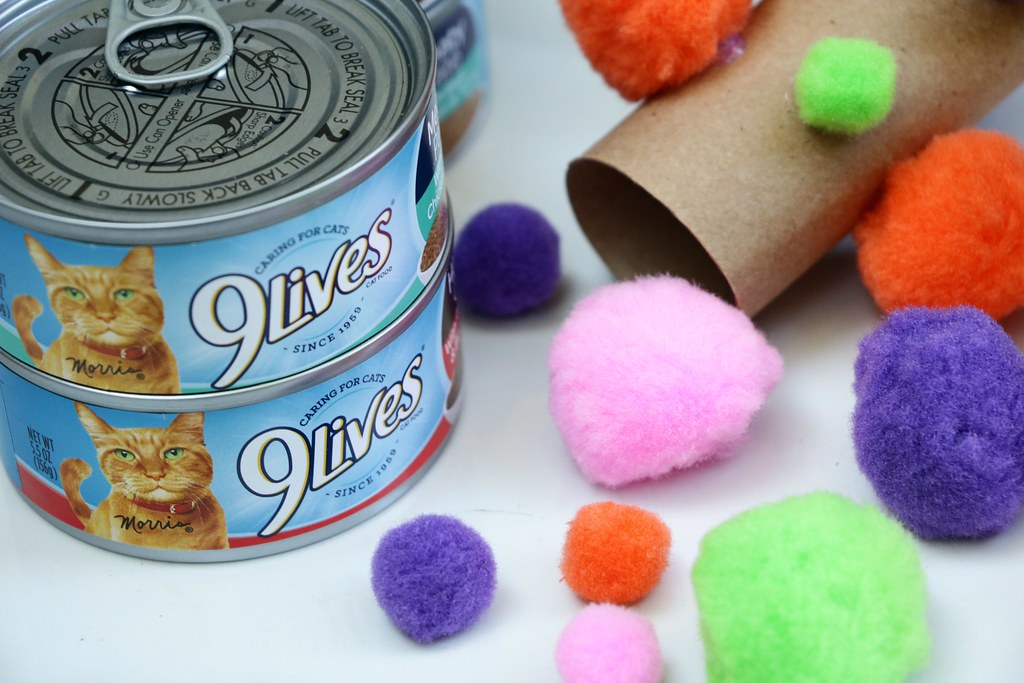 DIY Budget Friedly Cat Toys Using Toilet Paper Rolls Cel… Flickr