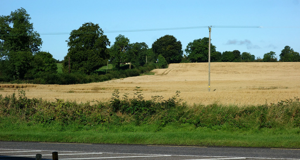 monilea mullingar Jimmy Pierce Flickr