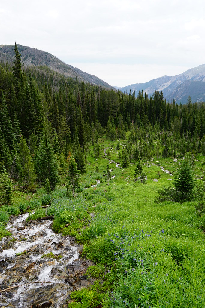 2018 Tobacco Root Mountains, South Boulder River Puddle Flickr