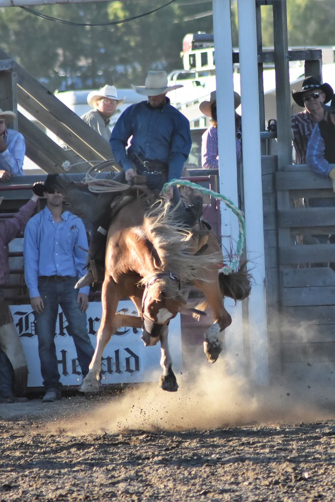 Baker County Tourism 45159 Great Rodeo… Flickr