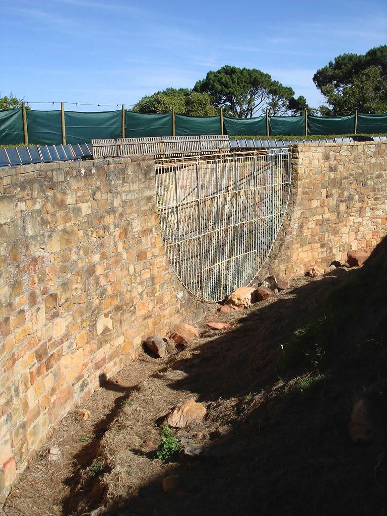 Lion's den warrenski Flickr