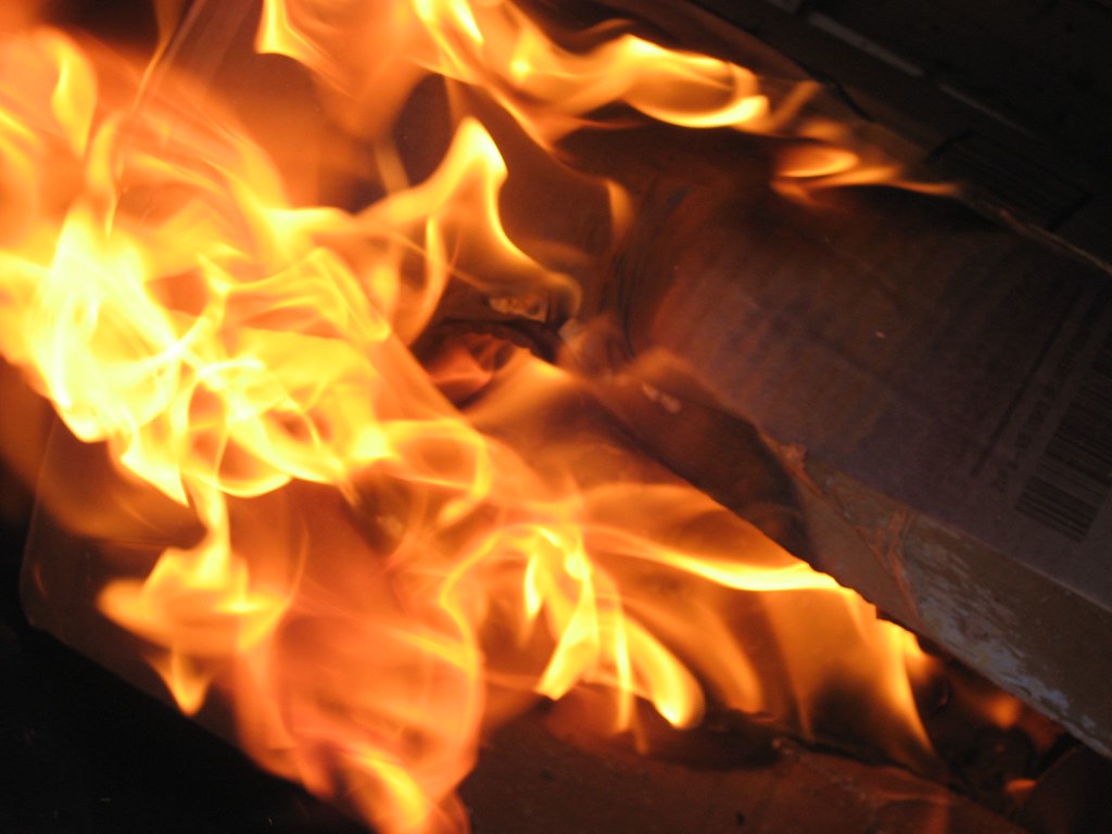 fire 5 Burn more! The trash can melted on one side. Oops. WyldKyss