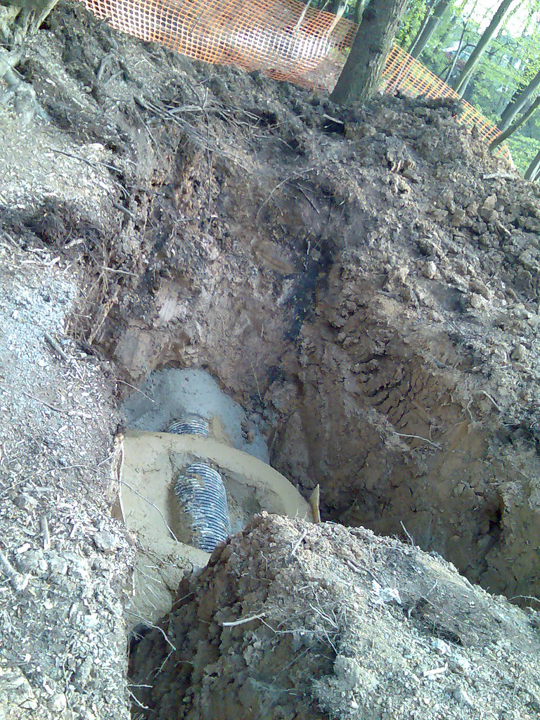 Coldfall wood reed bed construction Construction of a reed… Flickr