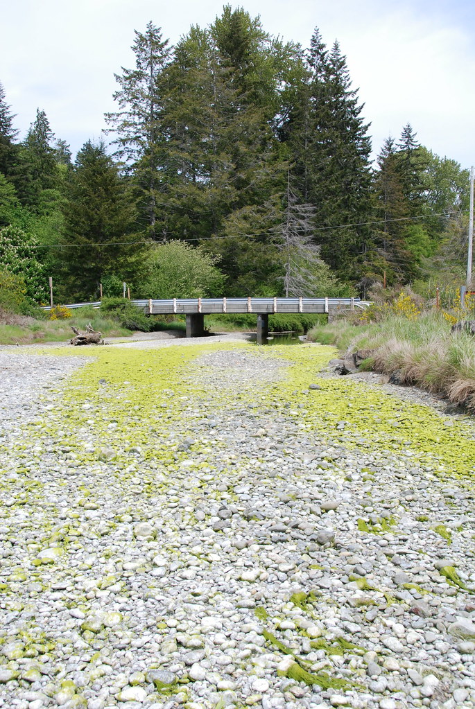Menards Landing Park Menards Landing Park, Washington Steve G