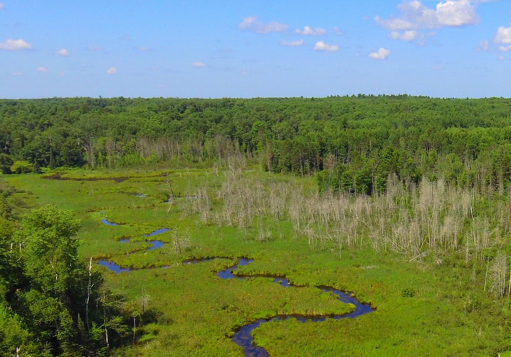 Lac du Flambeau wetlands, WI Dcim\100media\Dji_0022.Jpg Flickr