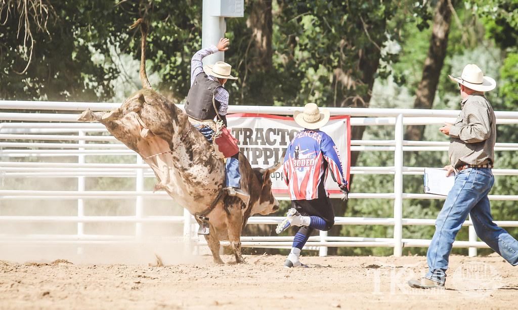 Florence Frontier Rodeo Bullriding (7/1/18) Florence Fro… Flickr