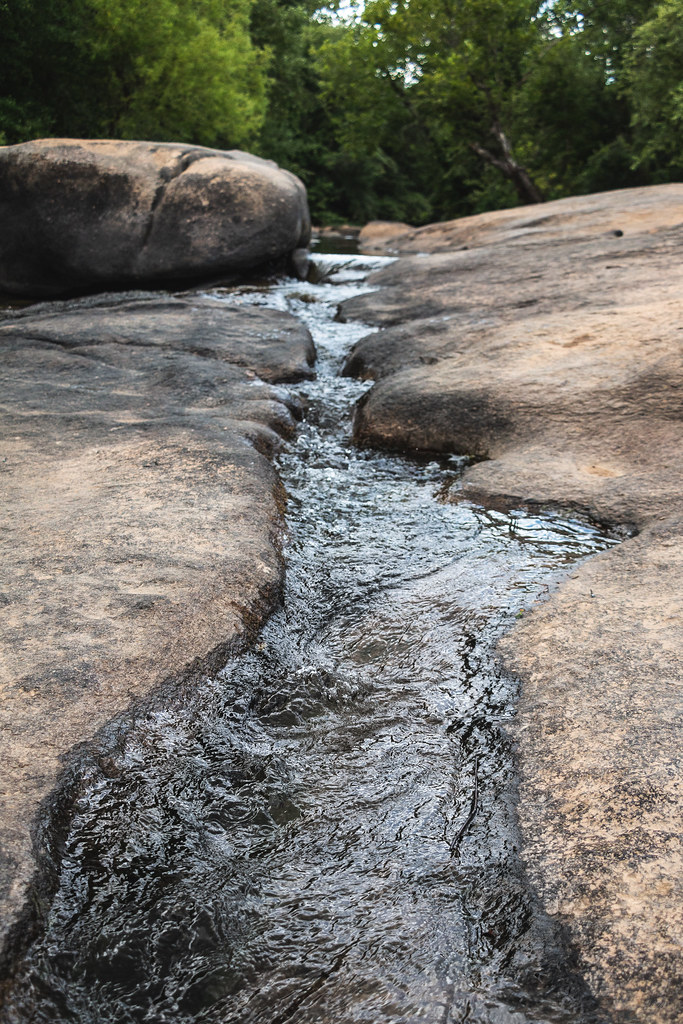 Reedy Creek, Richmond VA Adam Williams Flickr