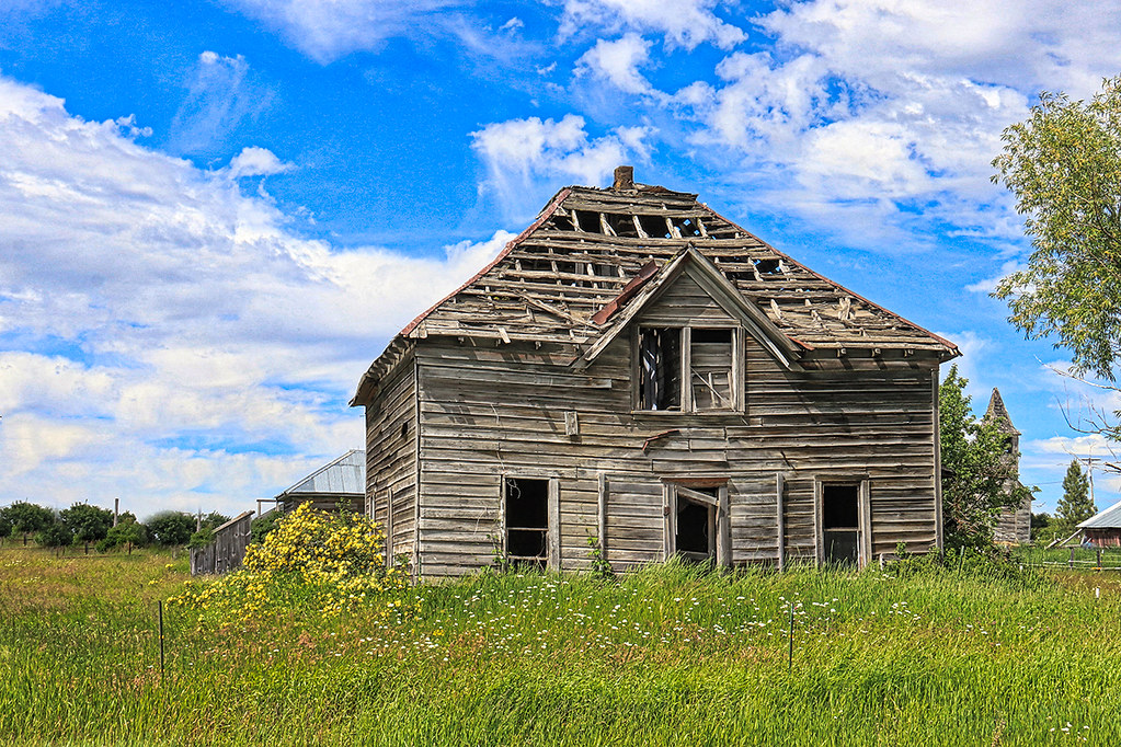 Lots Of Flowers Flora, OregonWallowa County Rick Williams Flickr