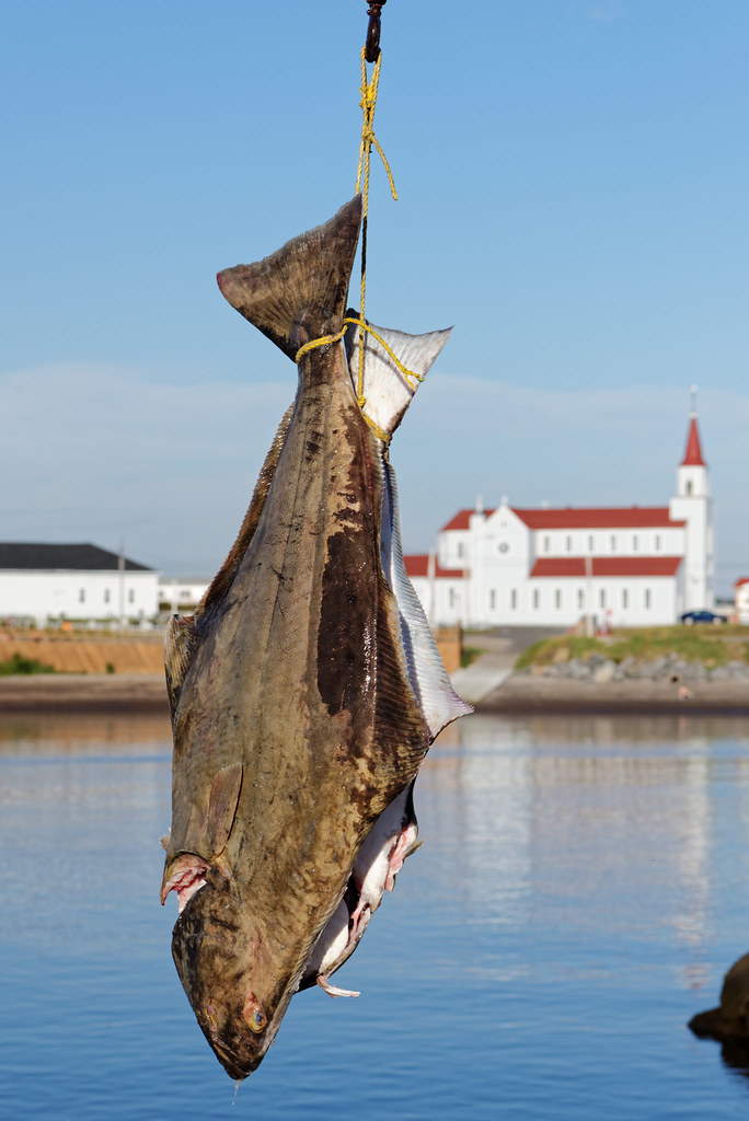 RivièreauTonnerre Pêche Retour de pêche à RivièreauT… Flickr