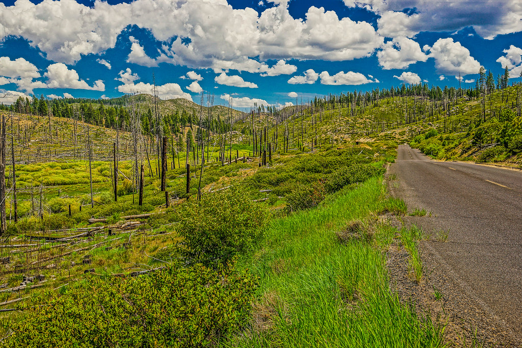 DSC08312Antelope Lake, Plumas County, CA Lance Nix Flickr