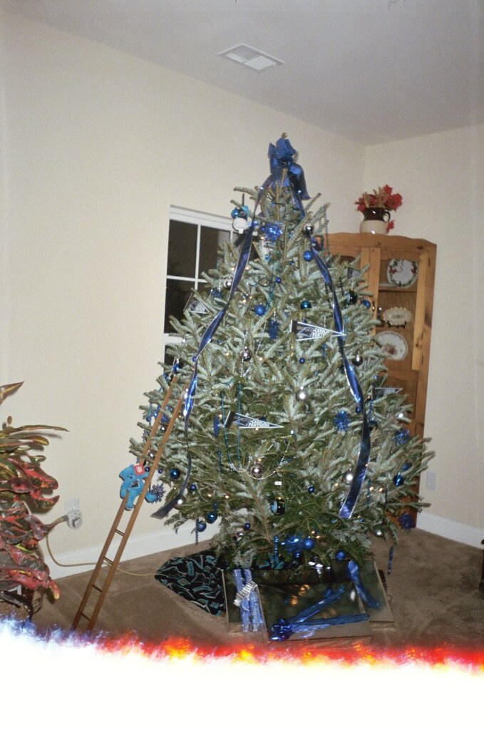 Panther christmas tree this is terri's tree decorated in h… Flickr