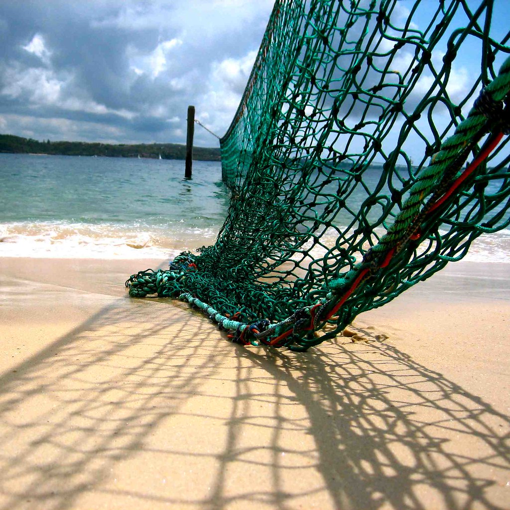 Shark Nets estelucy Flickr