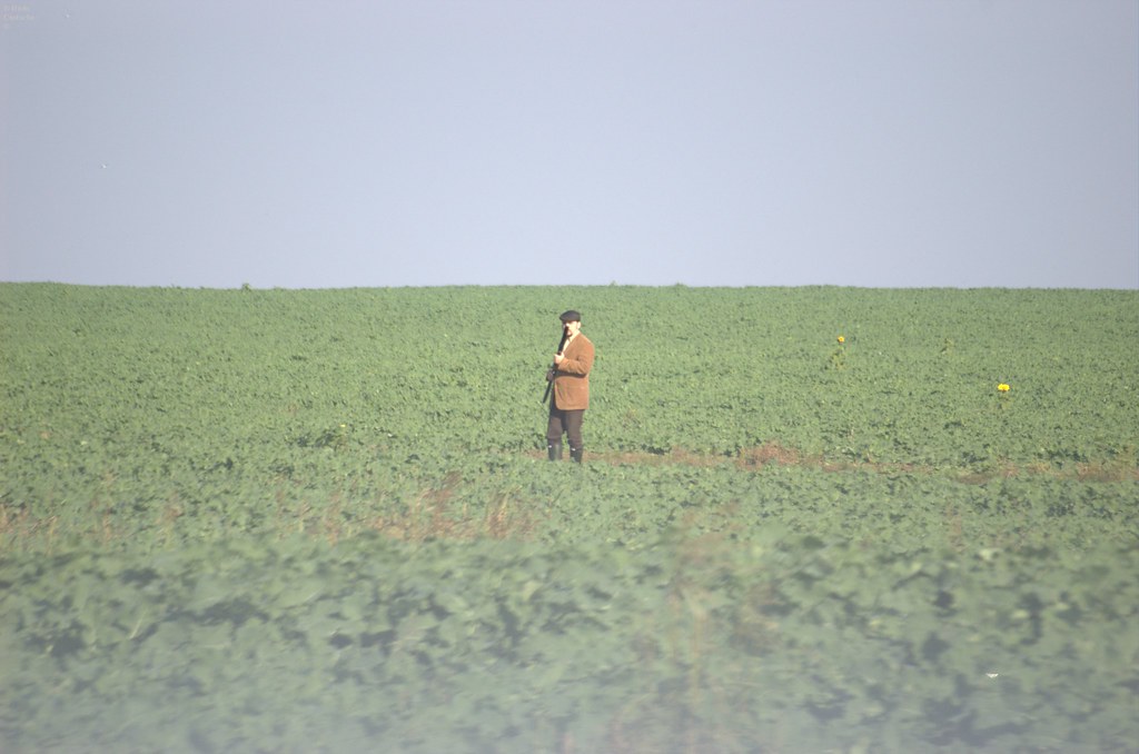 Who killed Roger Rabbit? unde sunt iepurii? Cristina&Daniel Manole