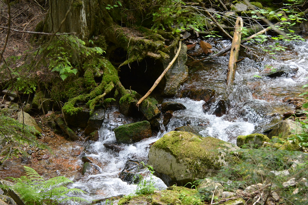 Coal Creek, Coal Creek Field Trip Coal Creek, Coal Creek F… Flickr