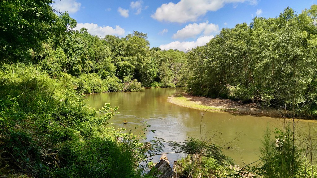 Tickfaw River Habitat shot for eBird list Van Remsen Flickr