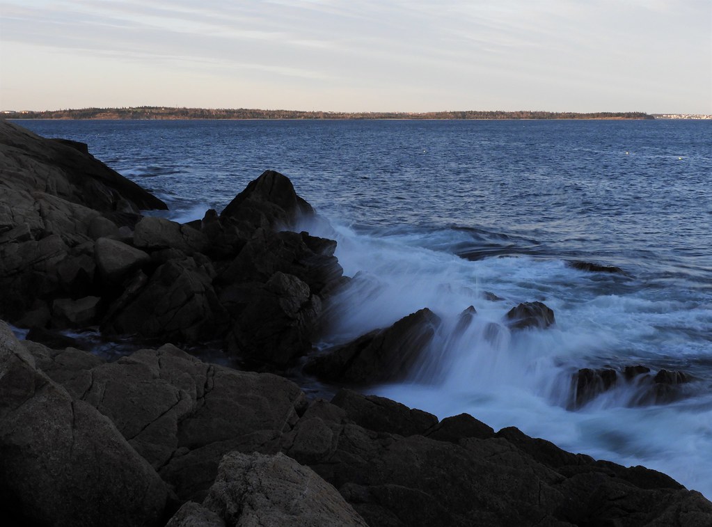 DSCN0208 Herring Cove Provincial Park CO1867 Flickr