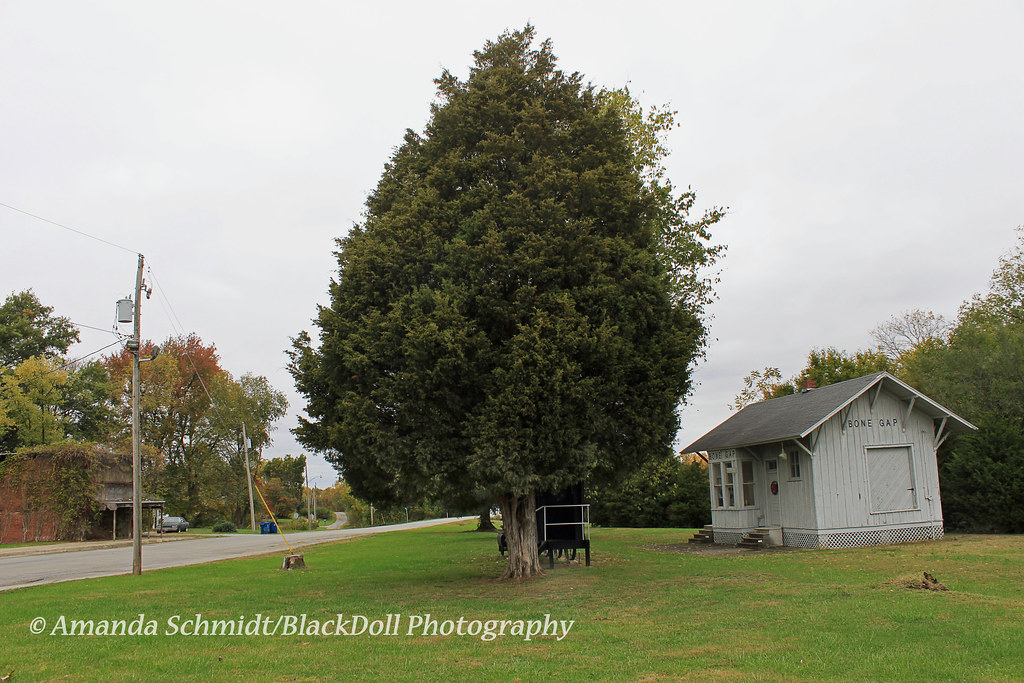 Bone Gap, Illinois Black.Doll Flickr