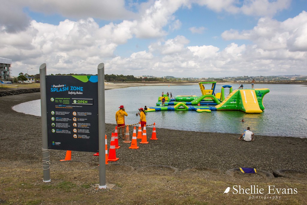 Pandora Pond, Napier Shellie Flickr