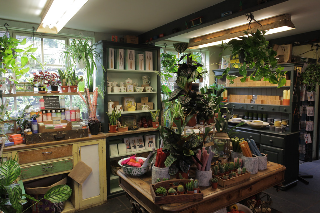 Garden Shop Penge Super tearoom & Garden Centre Penge Adam