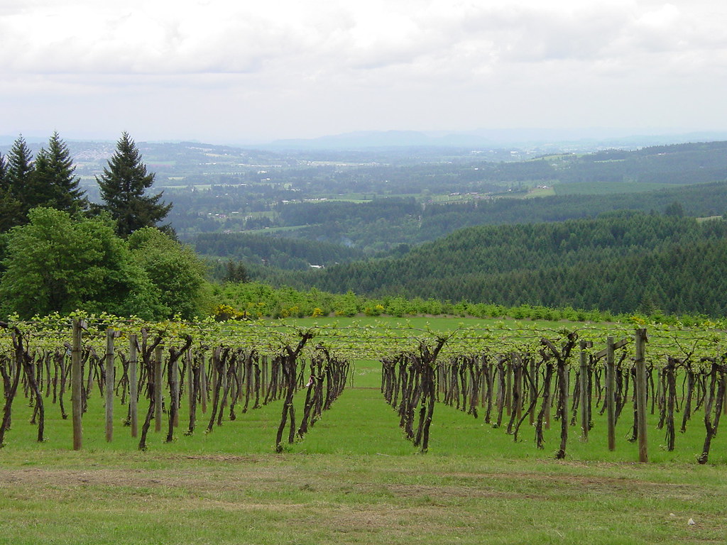 Willamette Valley Oregon View of the Willamette Valley fro… Flickr