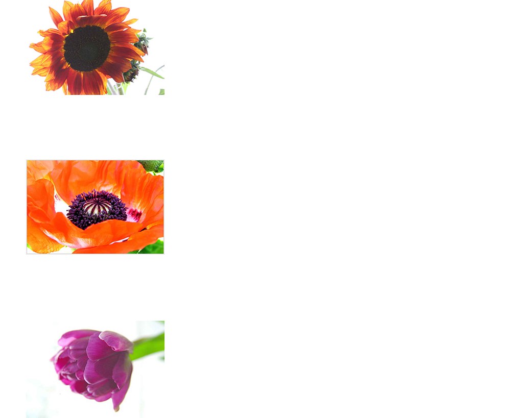 flowerspace glennisfiona Flickr