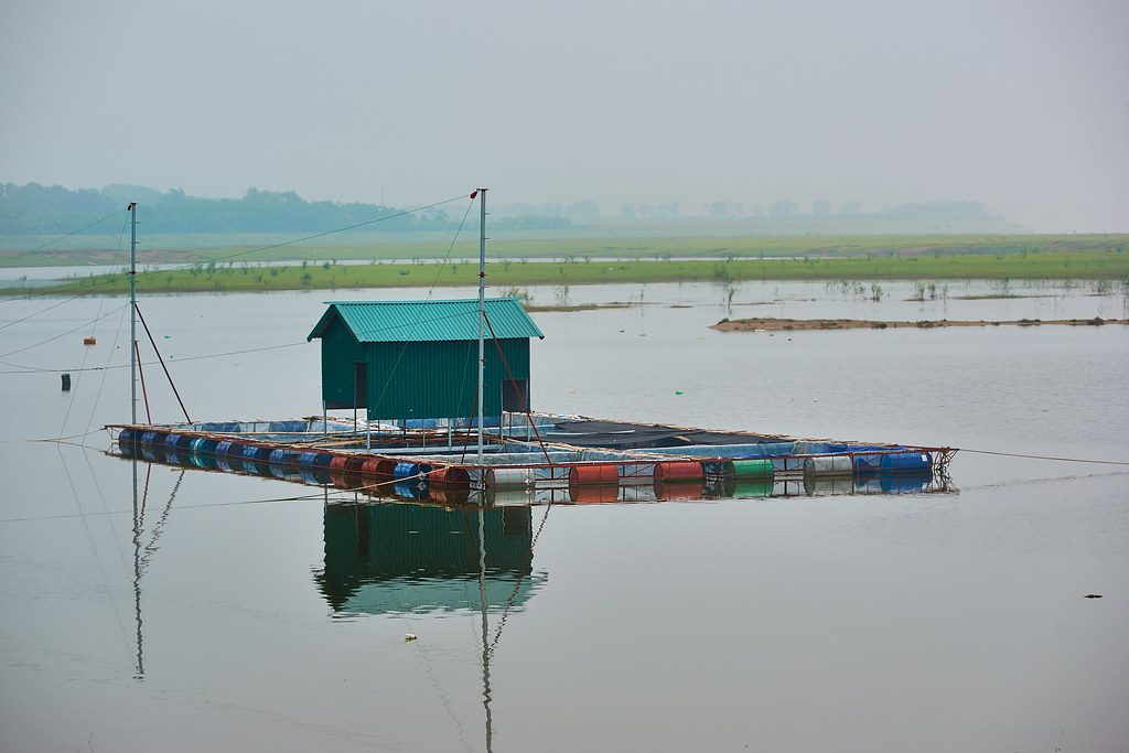 Floating fish farm on the river Bryon Lippincott Flickr