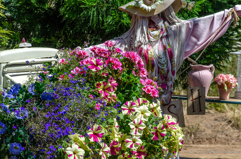 Lily Festival Photographing with my wom… Flickr