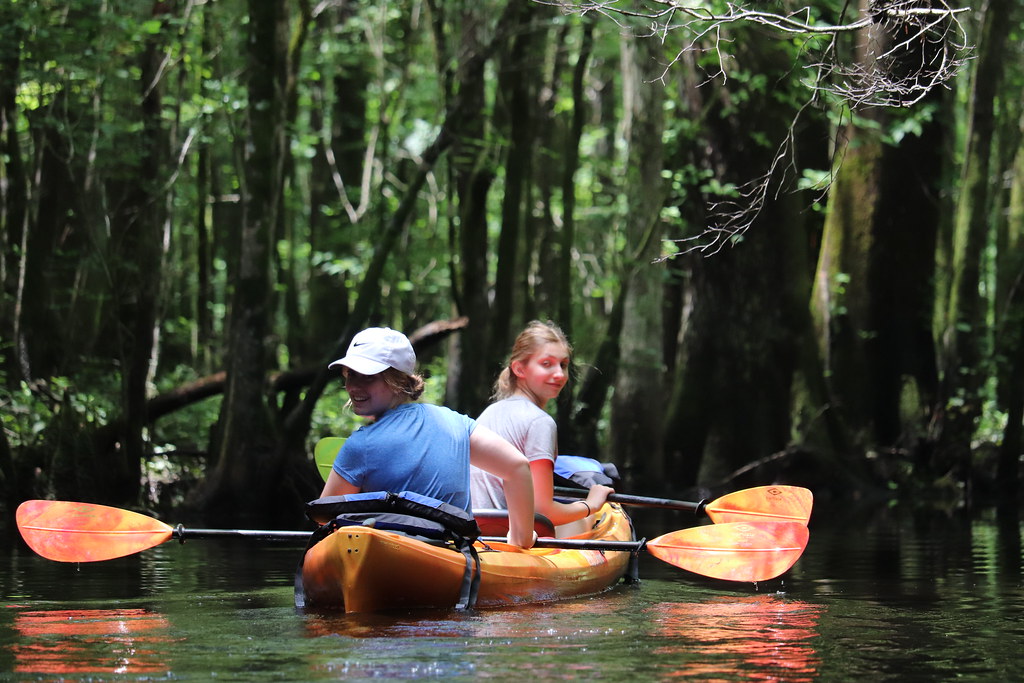 Kayaking Blackwater Cypress Swamps Kayak Tours Lighthouse