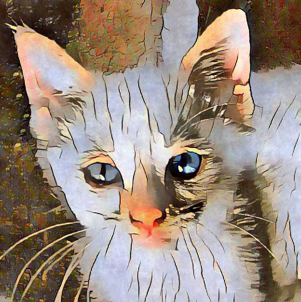 little Ghost My lovely cat Ghost who has since passed on,p… Flickr