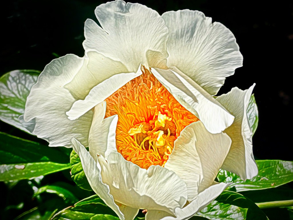 We gazed upon the chimes of freedom flashing Happy weekend… Nick