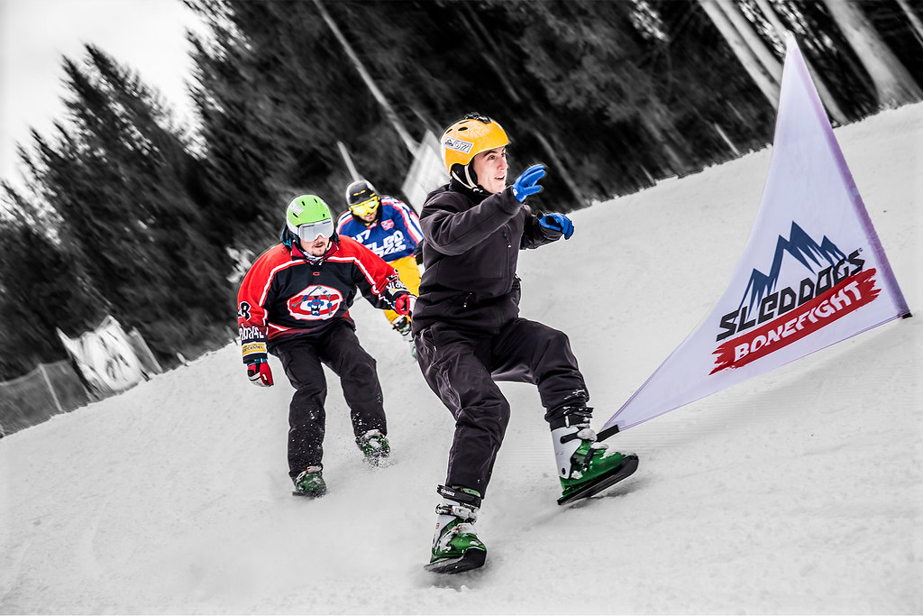 Sled Dogs Bonefight Sled Dogs Snowskates Flickr