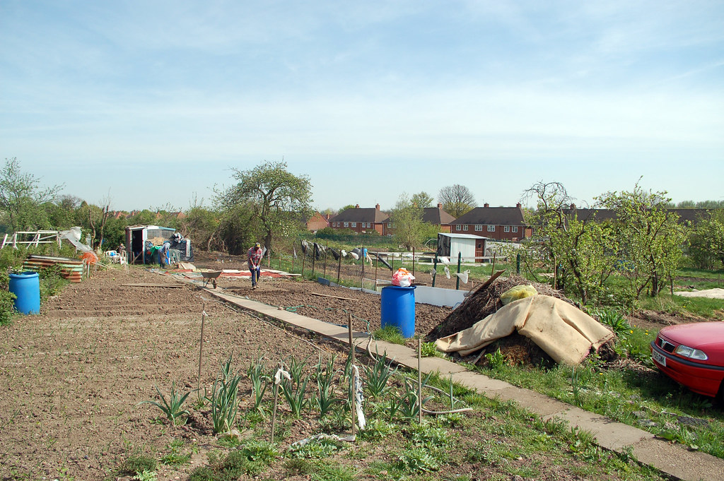 Yardley Green Road allotment 17. a photo on Flickriver