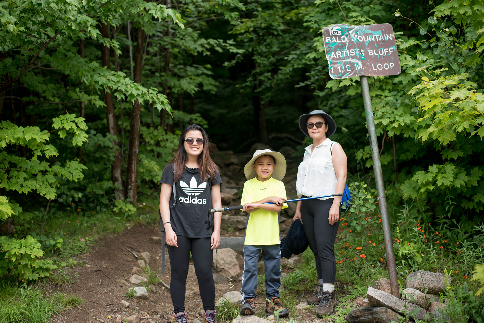 Bald Mountain and Artist Bluff Flickr