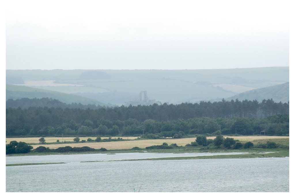 Corfe castle seen from brownsea island rising from the sea… Flickr