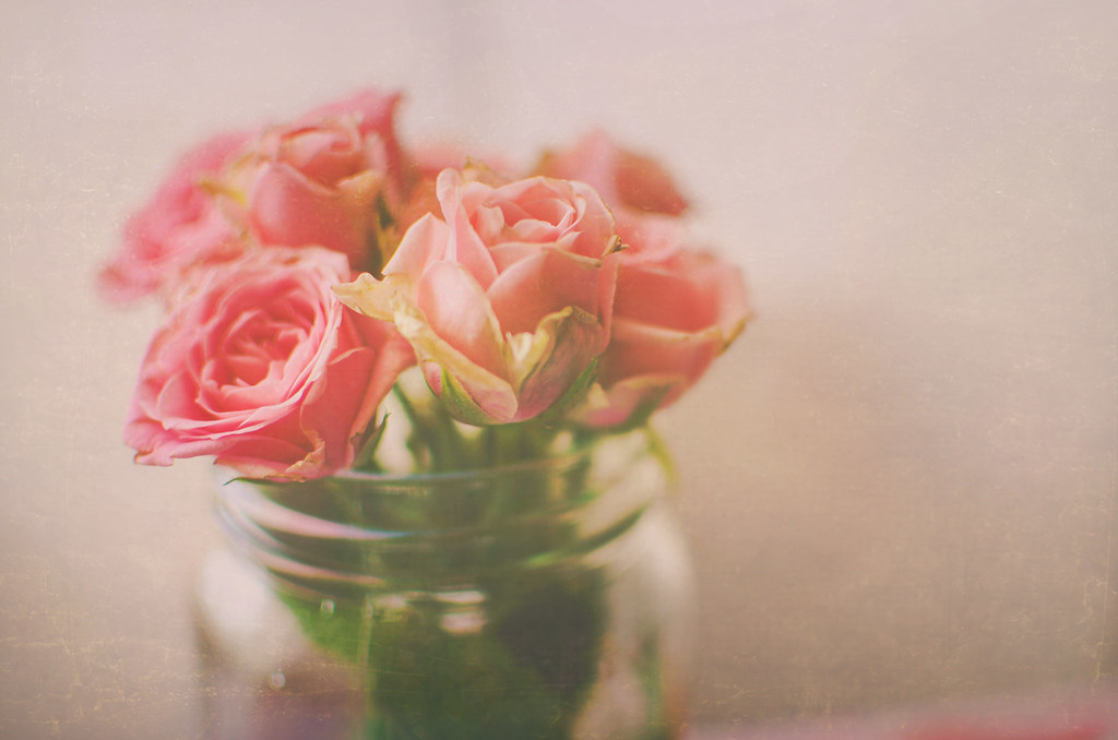 Jar of Roses Jacksonville, Florida Ashley Whitmoyer Flickr