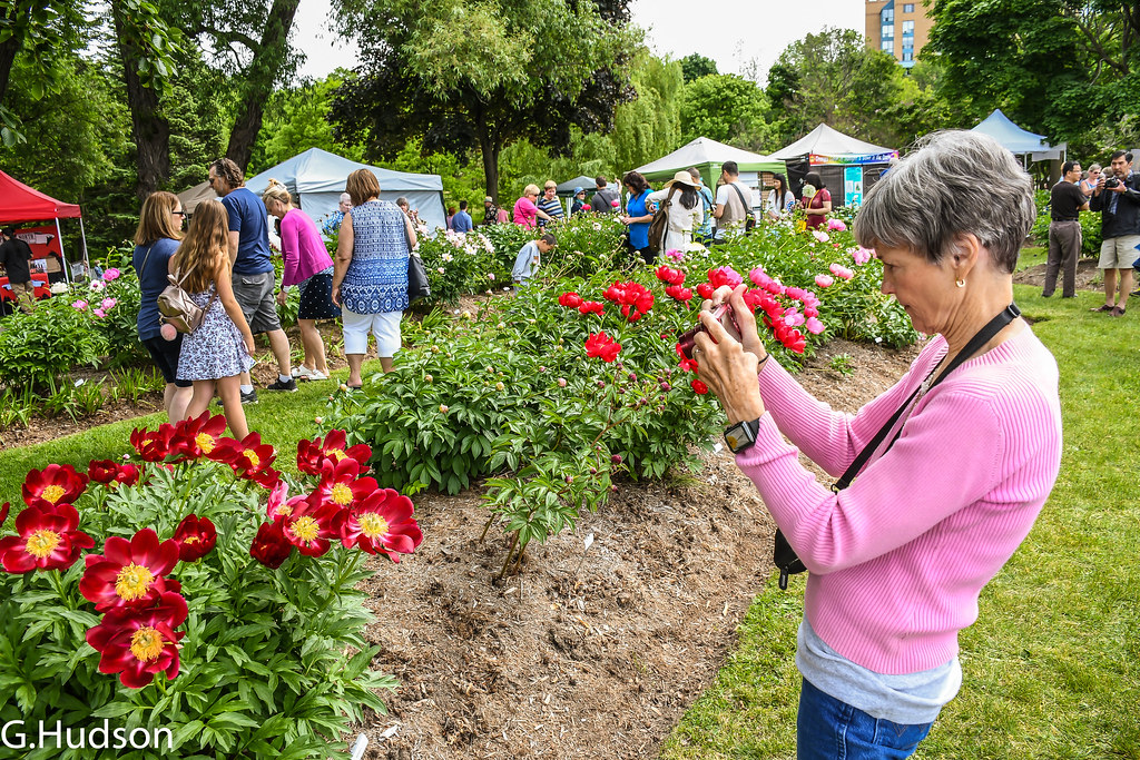 peony festival 2023 oshawa 201806096963.jpg Jan at the Peony Festival in Oshawa, Can… glen hudson Flickr