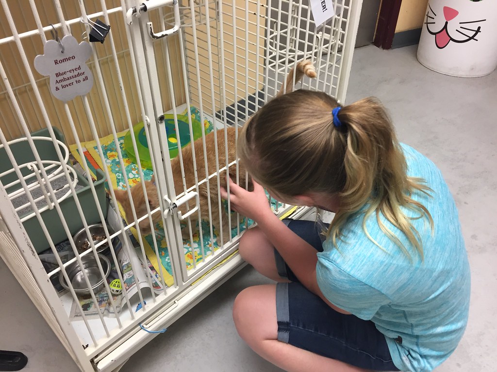 Summer Camp Animal Careers 2018 Flickr