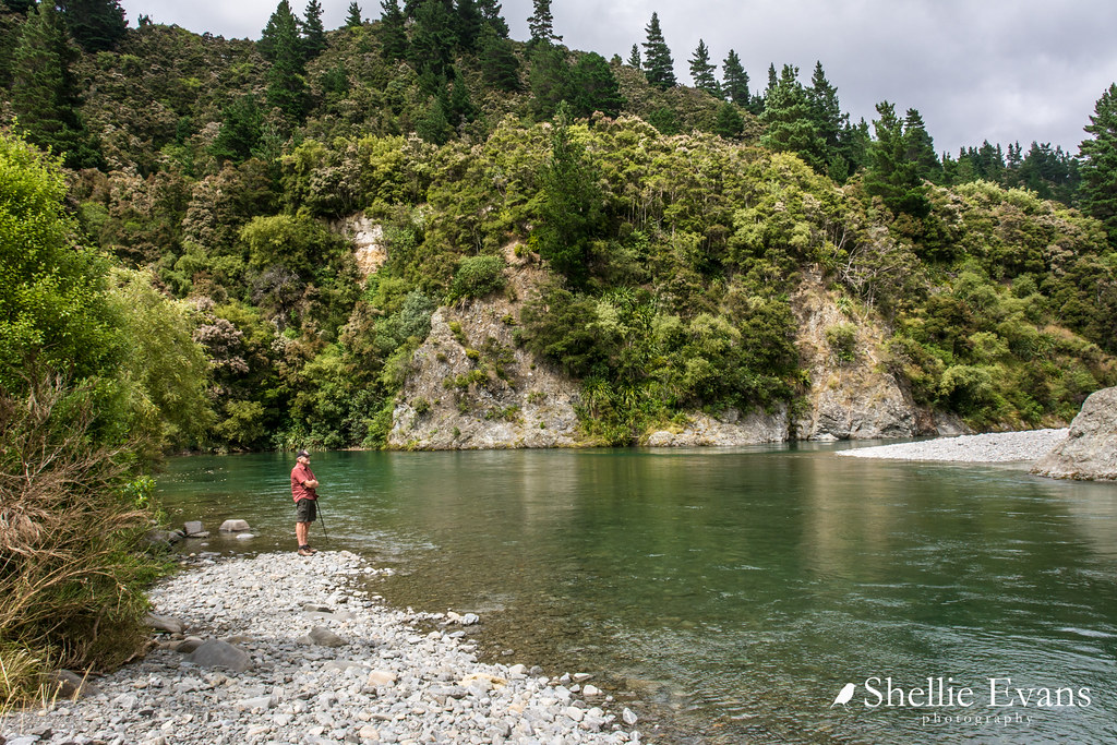 Kuripapango DOC Camp, NapierTaihape Road, Hawkes Bay Flickr