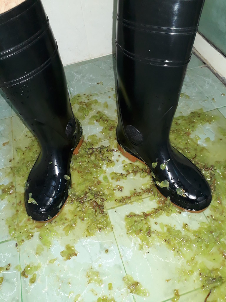 Rubber boots vs grapes Jonathan Forrest Flickr