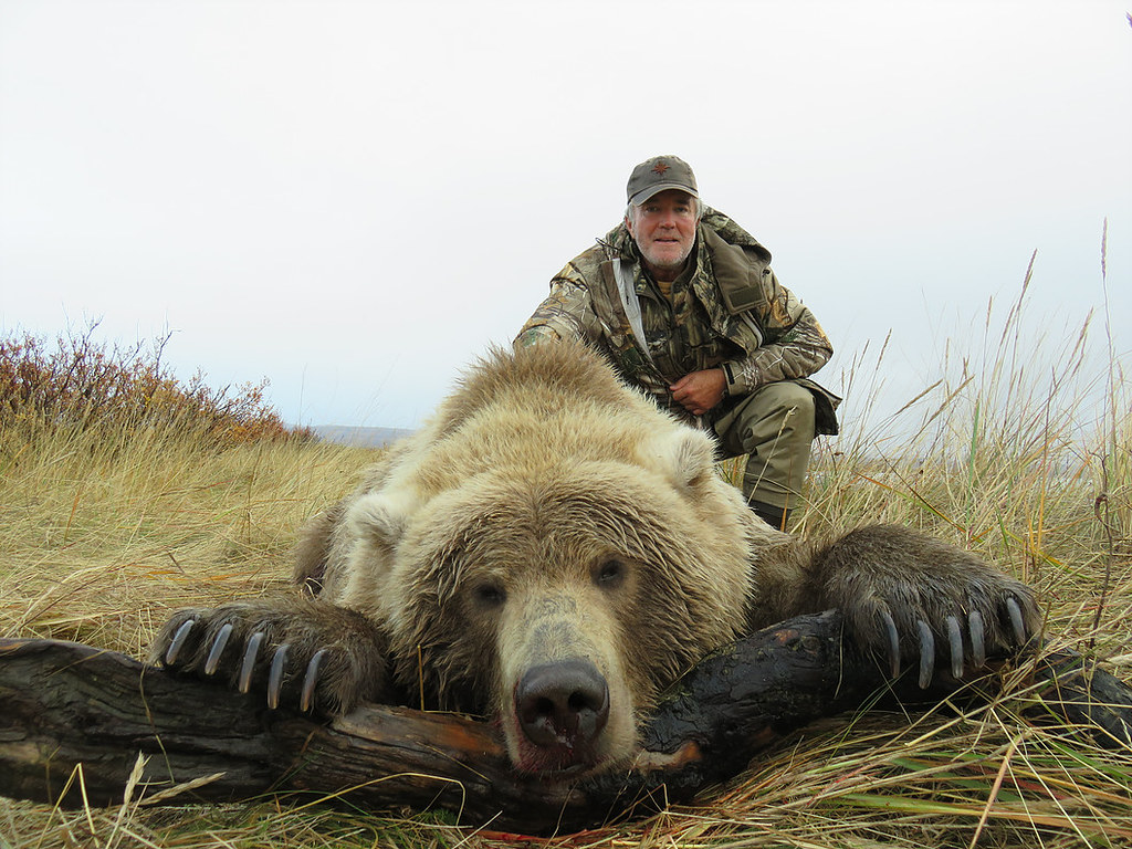 Alaska Peninsula Brown Bear Hunt Family Expeditions