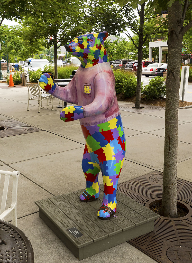 Hendersonville Bears 1 Benjamin a photo on Flickriver