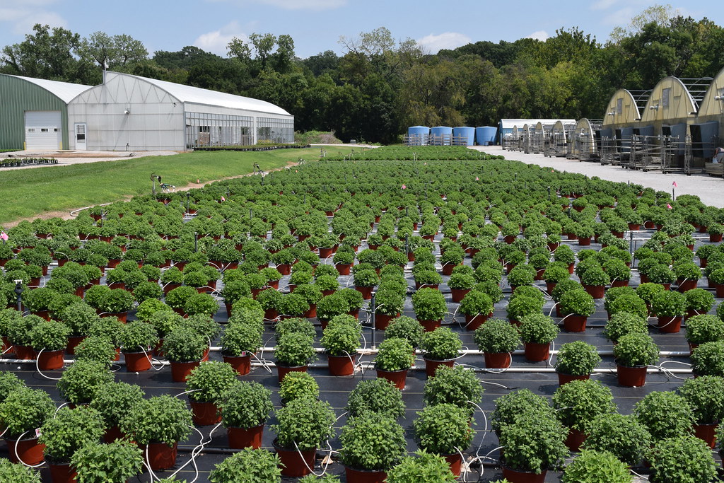 Delaware Greenhouse Southwood Landscape & Garden Center Flickr