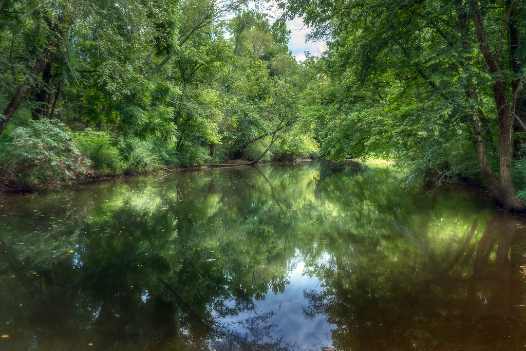 Summertime At Swan Creek Beside the Swan Creek Greenway in… Flickr