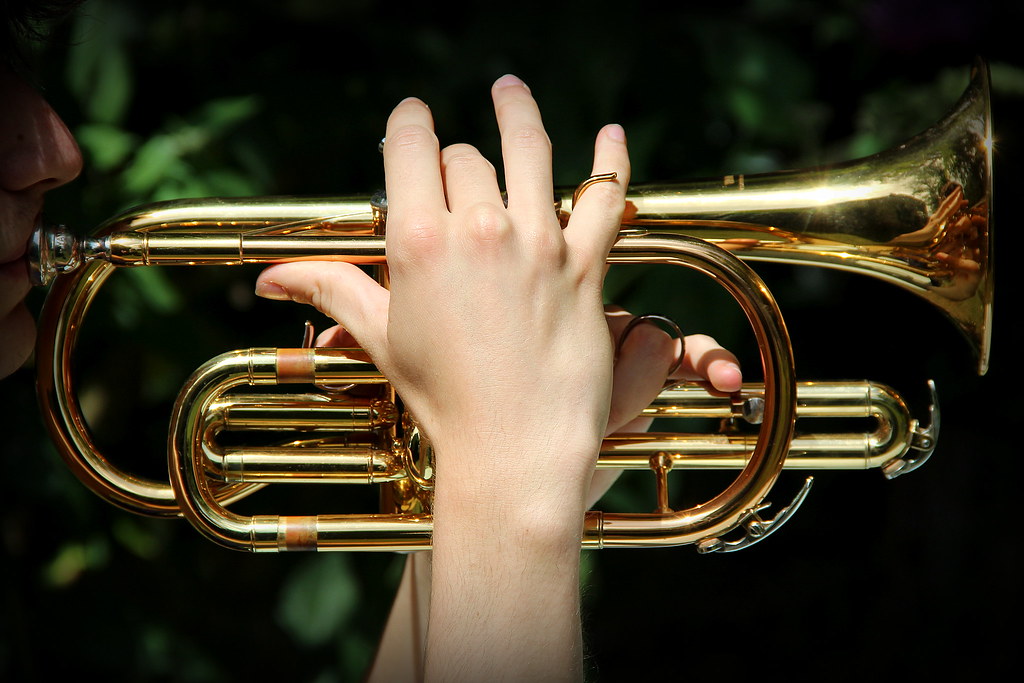 Le à piston en solo fête de la musique CLAIRE AVRIN Flickr