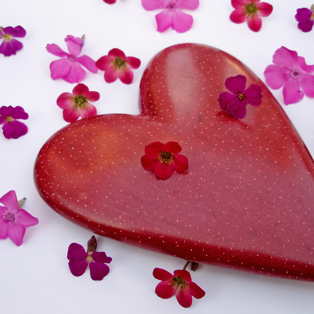 Love springs eternal “Love is the only flower that grows a… Flickr