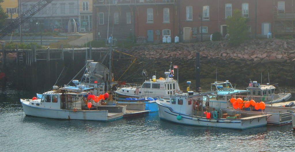 Eastport Maine Harbor taken from pier in Eastport Maine. Flickr